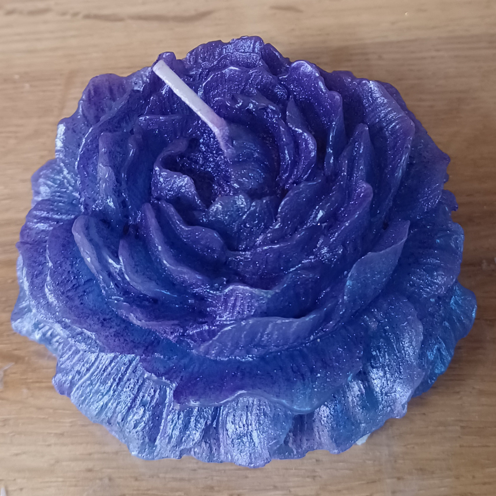 IN01_fleur_bleue_roi